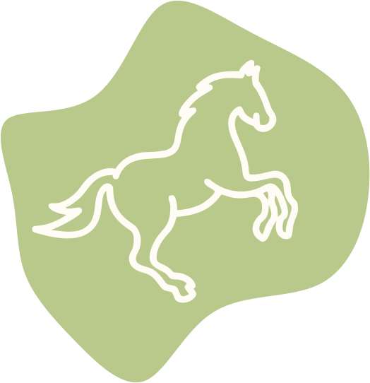 Paardentrainer-Paardencoach-Heeze-dressuur-grondwerk-Equellidressuur-icoon2