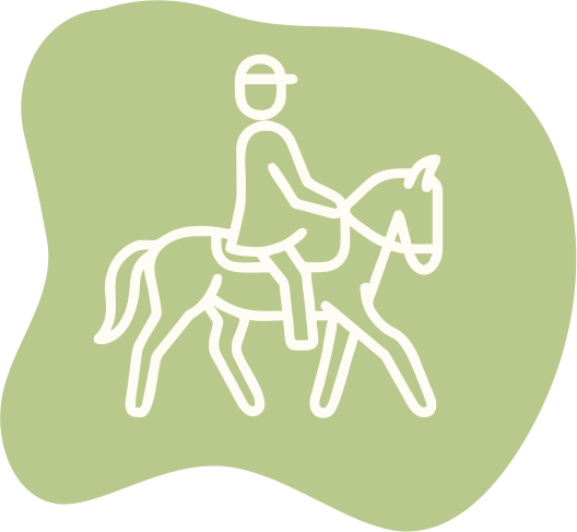 Paardentrainer-Paardencoach-Heeze-dressuur-grondwerk-Equellidressuur-icoon3