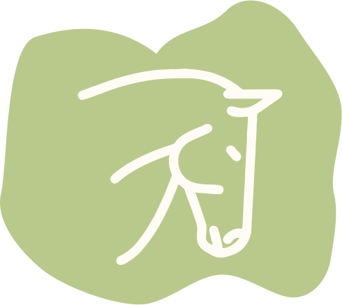 Paardentrainer-Paardencoach-Heeze-dressuur-grondwerk-Equellidressuur-icoon9